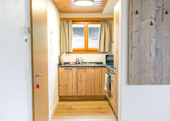 First - Aare Jungfrau Ag Apartment *