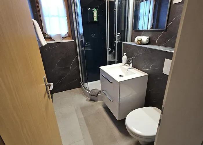 Apartment First - Aare Jungfrau Ag *